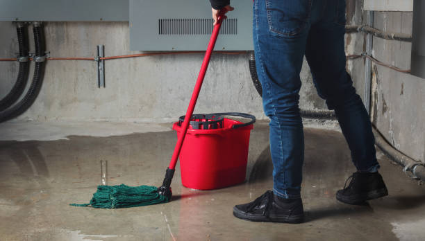 Best Basement water damage restoration  in Au Sable, MI