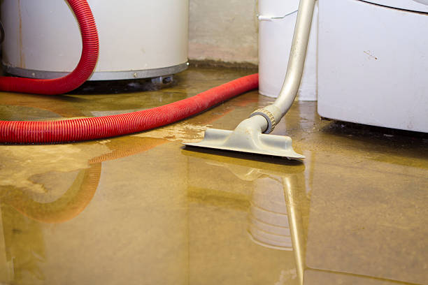 Best Local water damage restoration  in Au Sable, MI