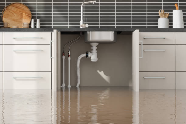 Best Water damage contractors near me  in Au Sable, MI