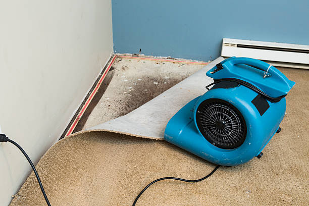 Reliable Au Sable, MI Water damage restoration Solutions